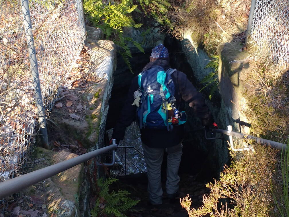 IMG 20190119 121439016